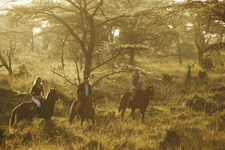 Kenya-Masai Mara-Masai Mara Ride - Aloe Blossom